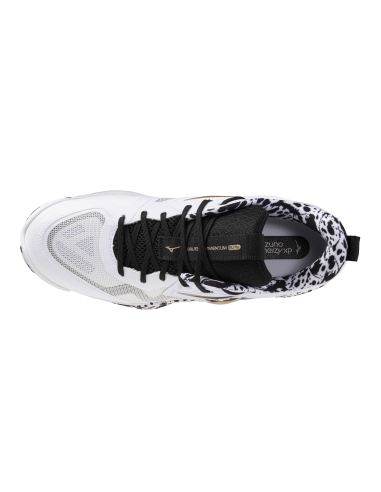 MIZUNO MOMENTUM ELITE KAKIZOME EDICIÓN ESPECIAL